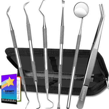 Professional Dental Cleaning Kit – Stainless Steel (With Case)